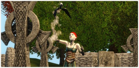 Dragon noir cuirassé